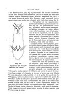 giornale/UFI0011617/1897-1898/unico/00000059