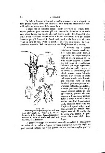 Rivista di patologia vegetale