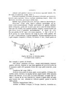 giornale/UFI0011617/1897-1898/unico/00000131