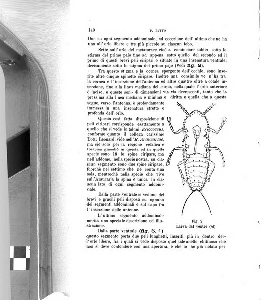 Rivista di patologia vegetale