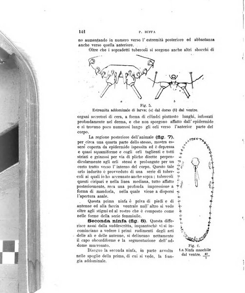 Rivista di patologia vegetale