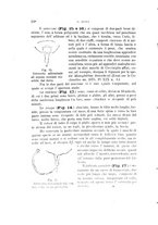 giornale/UFI0011617/1897-1898/unico/00000154