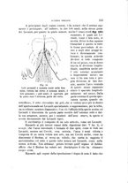 giornale/UFI0011617/1897-1898/unico/00000157