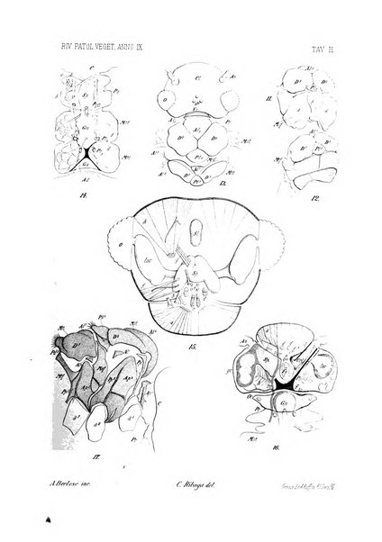 Rivista di patologia vegetale