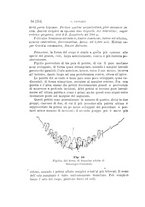 giornale/UFI0011617/1897-1898/unico/00000248