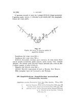 giornale/UFI0011617/1897-1898/unico/00000258