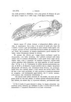 giornale/UFI0011617/1897-1898/unico/00000306