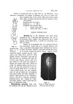 giornale/UFI0011617/1897-1898/unico/00000333