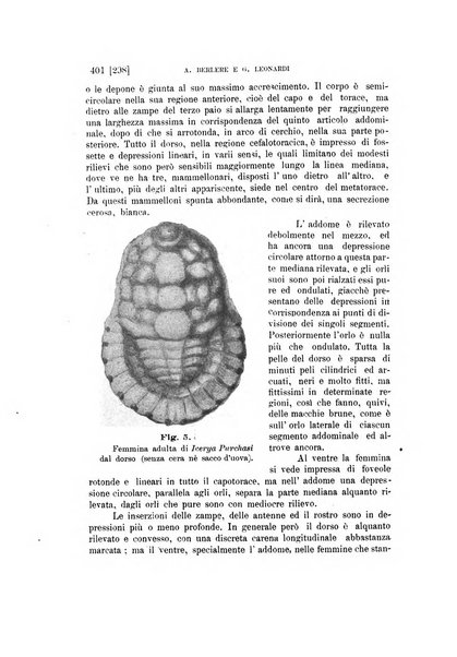 Rivista di patologia vegetale