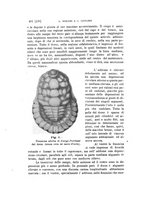 giornale/UFI0011617/1897-1898/unico/00000334