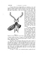 giornale/UFI0011617/1897-1898/unico/00000336