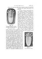 giornale/UFI0011617/1897-1898/unico/00000339