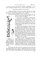 giornale/UFI0011617/1897-1898/unico/00000341