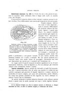 giornale/UFI0011617/1900-1901/unico/00000015