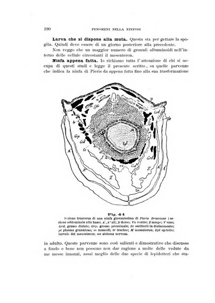 Rivista di patologia vegetale