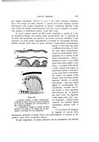 giornale/UFI0011617/1900-1901/unico/00000027