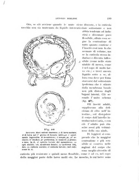 Rivista di patologia vegetale