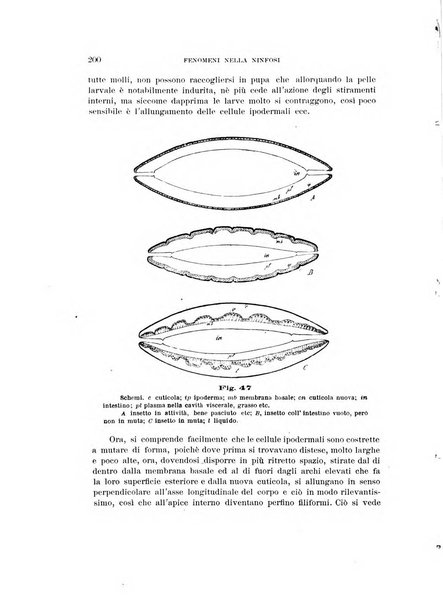 Rivista di patologia vegetale