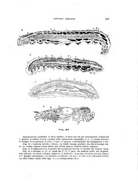 Rivista di patologia vegetale