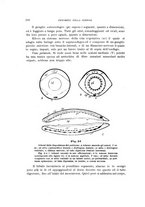 giornale/UFI0011617/1900-1901/unico/00000046