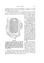 giornale/UFI0011617/1900-1901/unico/00000047