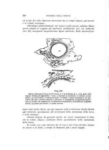 Rivista di patologia vegetale