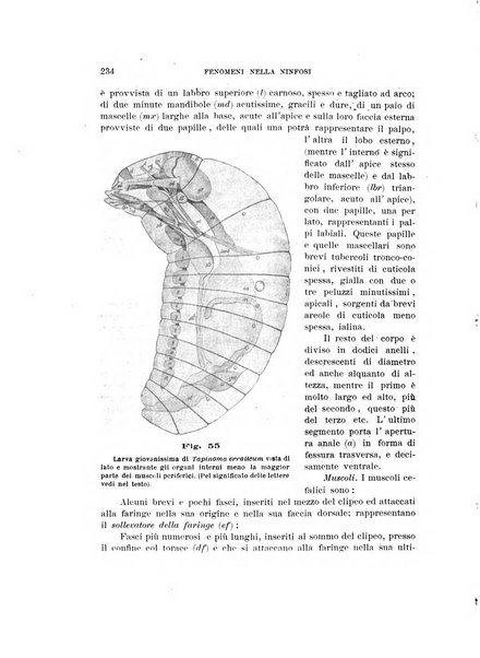 Rivista di patologia vegetale