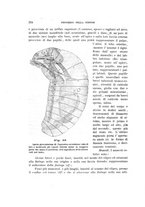 giornale/UFI0011617/1900-1901/unico/00000064