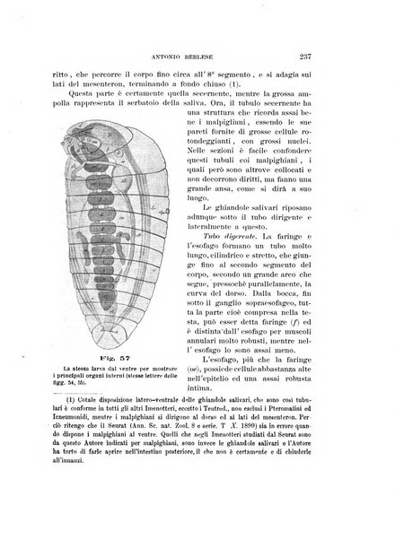 Rivista di patologia vegetale