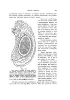 giornale/UFI0011617/1900-1901/unico/00000073