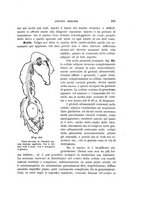 giornale/UFI0011617/1900-1901/unico/00000083