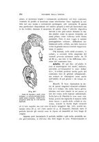 giornale/UFI0011617/1900-1901/unico/00000084