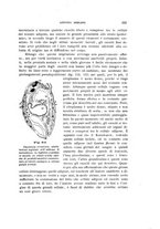 giornale/UFI0011617/1900-1901/unico/00000085