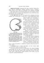 giornale/UFI0011617/1900-1901/unico/00000088