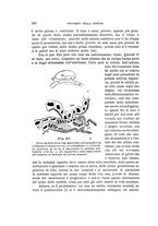 giornale/UFI0011617/1900-1901/unico/00000090