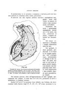 giornale/UFI0011617/1900-1901/unico/00000093