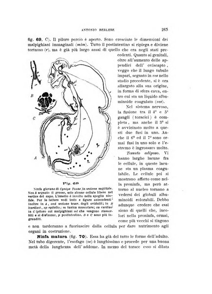 Rivista di patologia vegetale