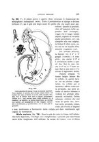 giornale/UFI0011617/1900-1901/unico/00000095