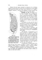 giornale/UFI0011617/1900-1901/unico/00000104