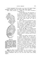 giornale/UFI0011617/1900-1901/unico/00000105