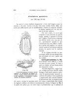 giornale/UFI0011617/1900-1901/unico/00000110