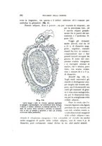 giornale/UFI0011617/1900-1901/unico/00000112