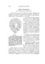 giornale/UFI0011617/1900-1901/unico/00000116