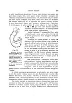 giornale/UFI0011617/1900-1901/unico/00000123