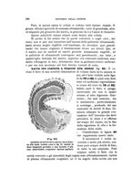 giornale/UFI0011617/1900-1901/unico/00000126