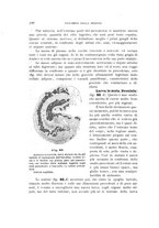 giornale/UFI0011617/1900-1901/unico/00000128