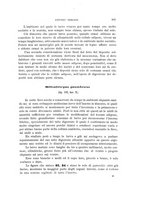 giornale/UFI0011617/1900-1901/unico/00000135