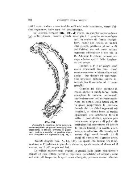 Rivista di patologia vegetale