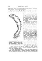 giornale/UFI0011617/1900-1901/unico/00000140