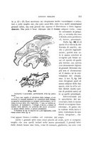 giornale/UFI0011617/1900-1901/unico/00000141